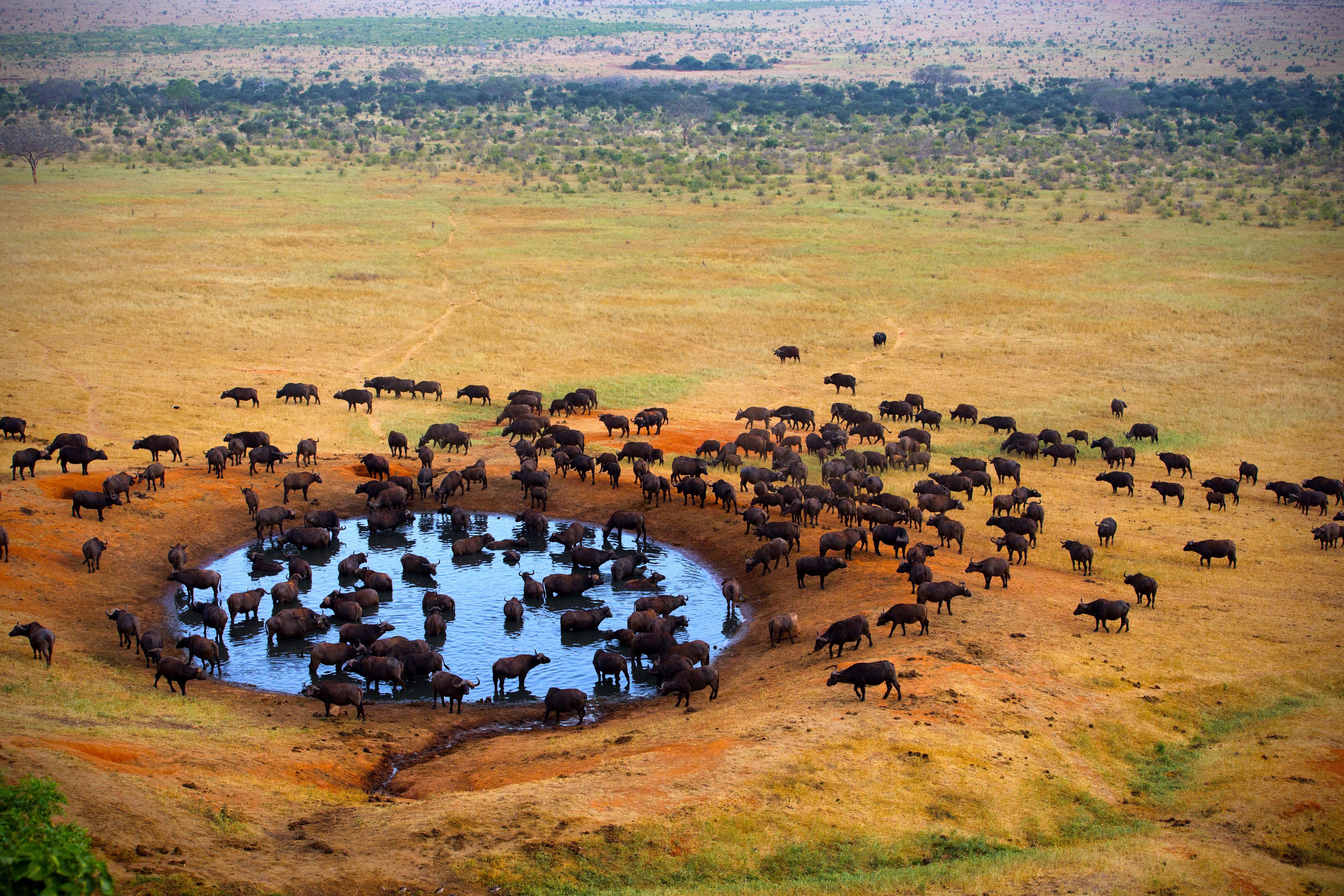 National parks in Kenya