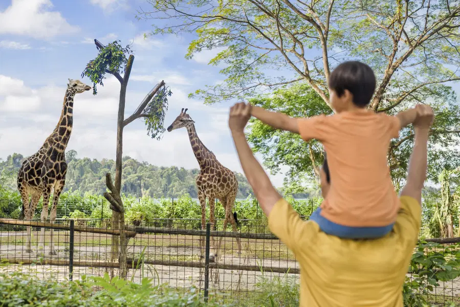 Mandai Wildlife Reserves 2-in-1 Singapore Zoo & River Wonders Image