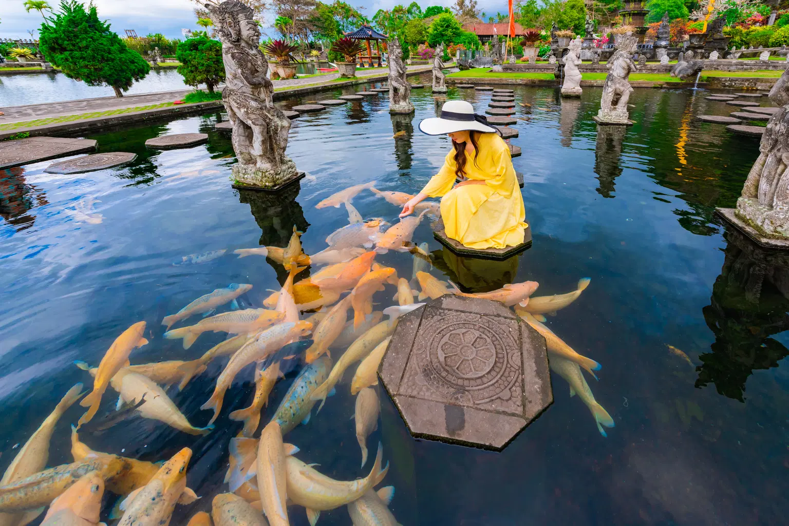 Koi pond