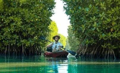 Kayak Through the Side Canals