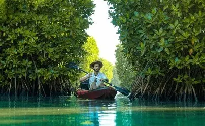 Kayak Through the Side Canals