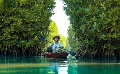 Kayak Through the Side Canals