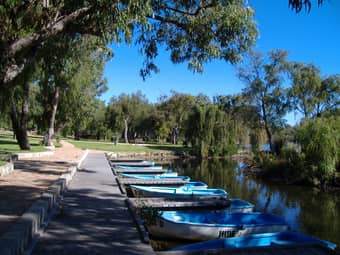 Embark on an amazing tour to the Yanchep National Park