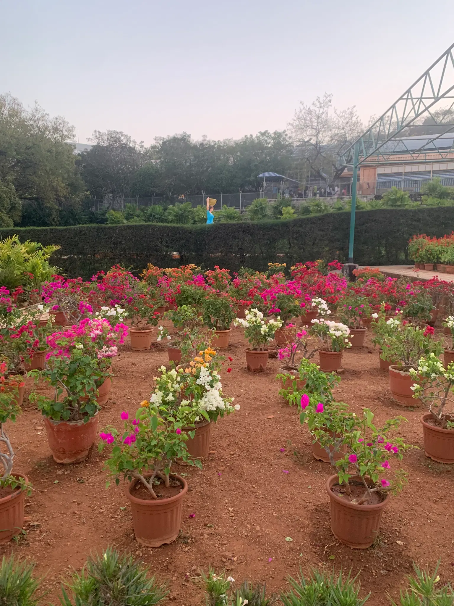 Photo from Lakshmi Prasanna's trip