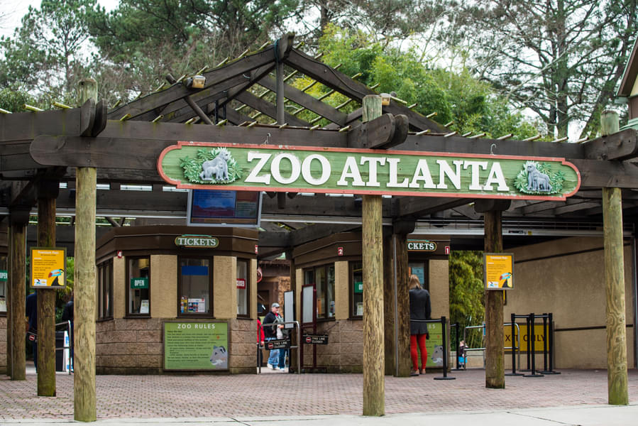 Spend whole day at Zoo Atlanta with your family and friends
