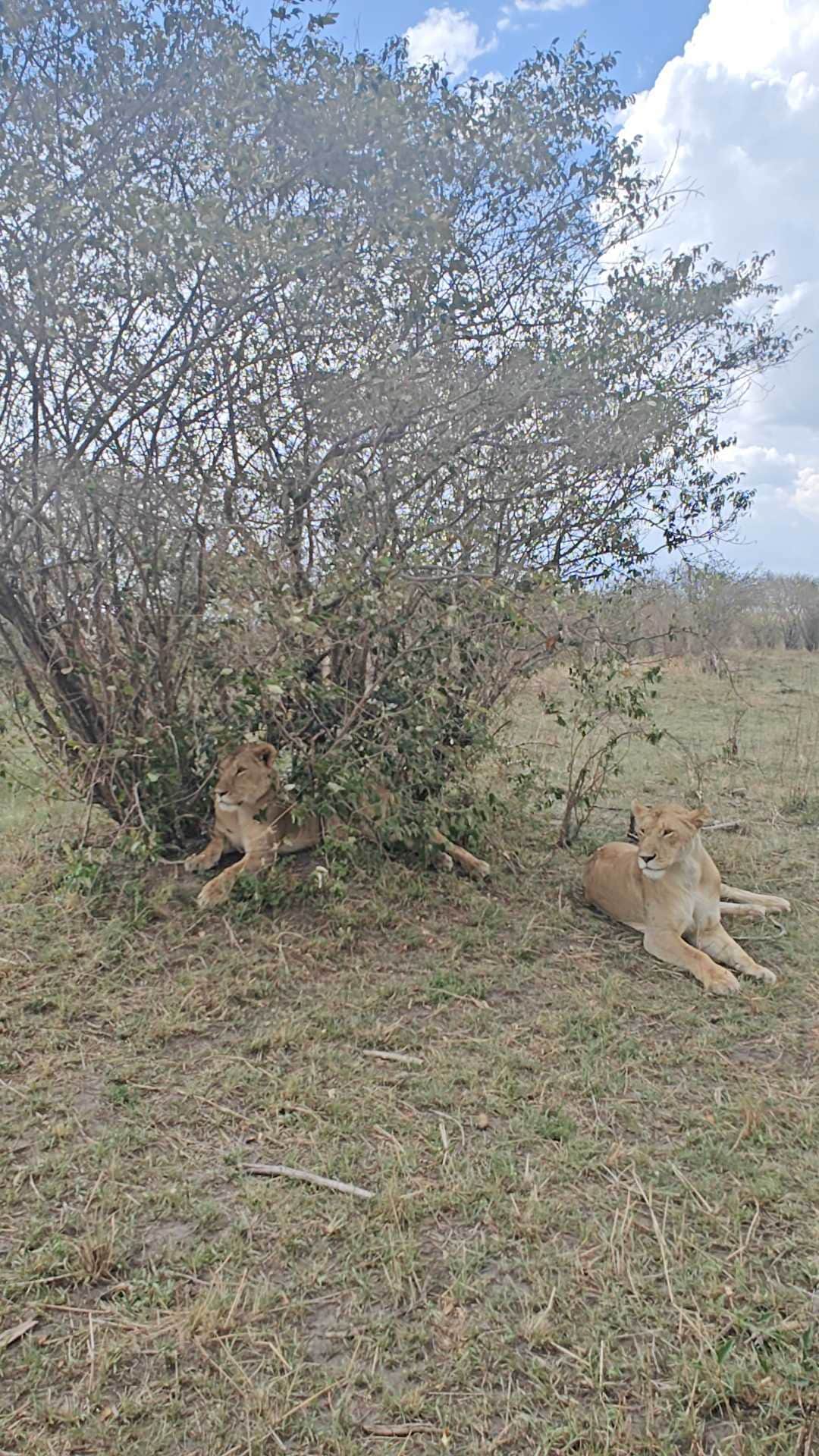 Photo from Lakshmi Harikumar's trip