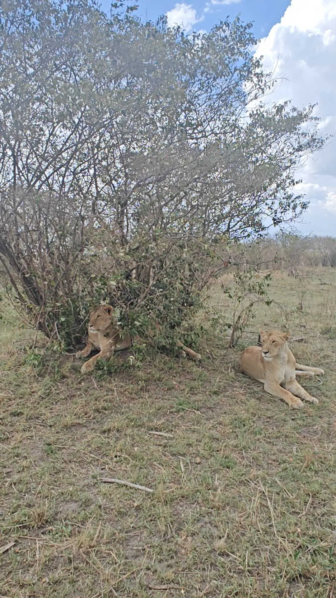 Photo from Lakshmi Harikumar's trip