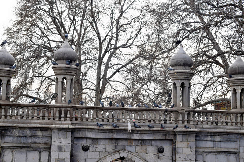 Makhdoom, <em>Srinagar</em>