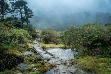 Traverse the River Crossing and Scenic Bridge
