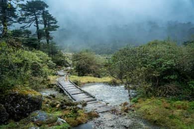 Traverse the River Crossing and Scenic Bridge