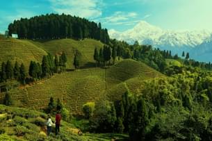 V213s8fw2bd1e7yr2hxagnbtj5z6 shutterstock 2355713223