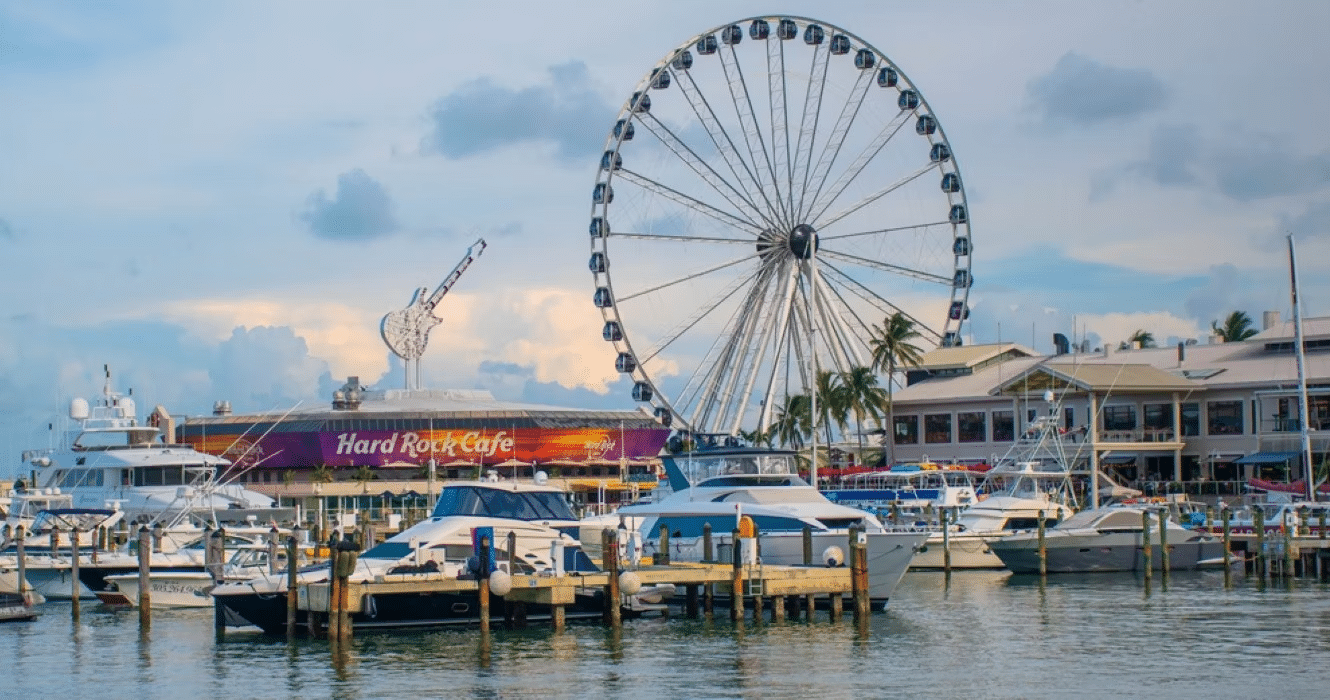 Skyviews Wheel & Cruise Tour
