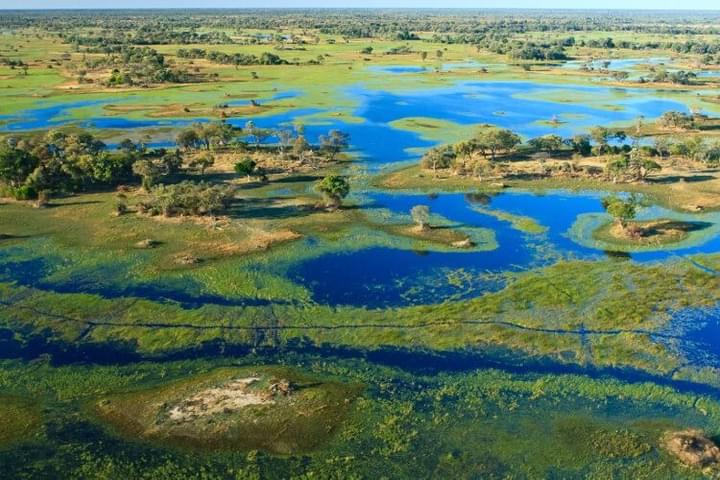 Okavango1.jpg