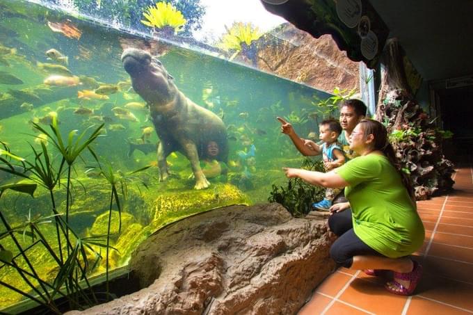 Wildlife Wonderland  in Khao Kheow Open Zoo