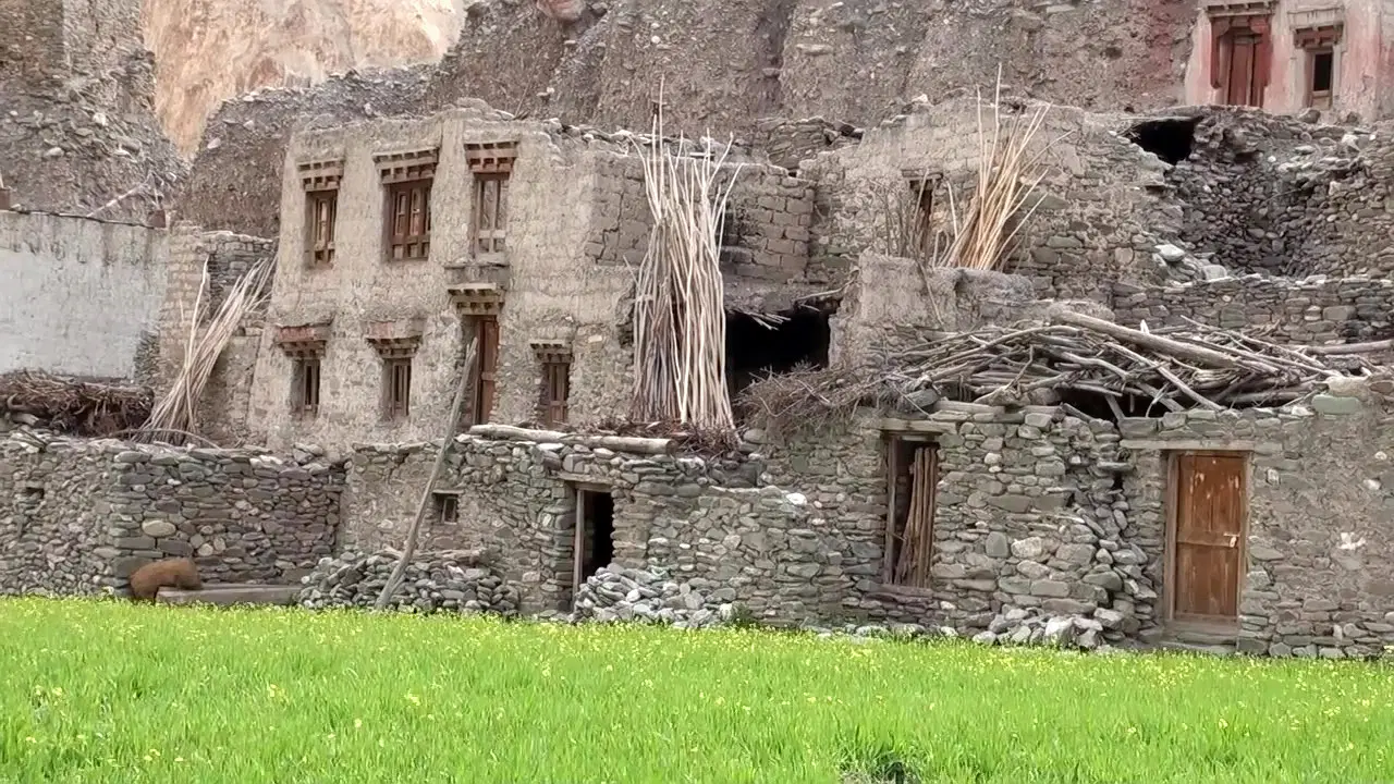 Photo from Shridevi Dhawan's trip