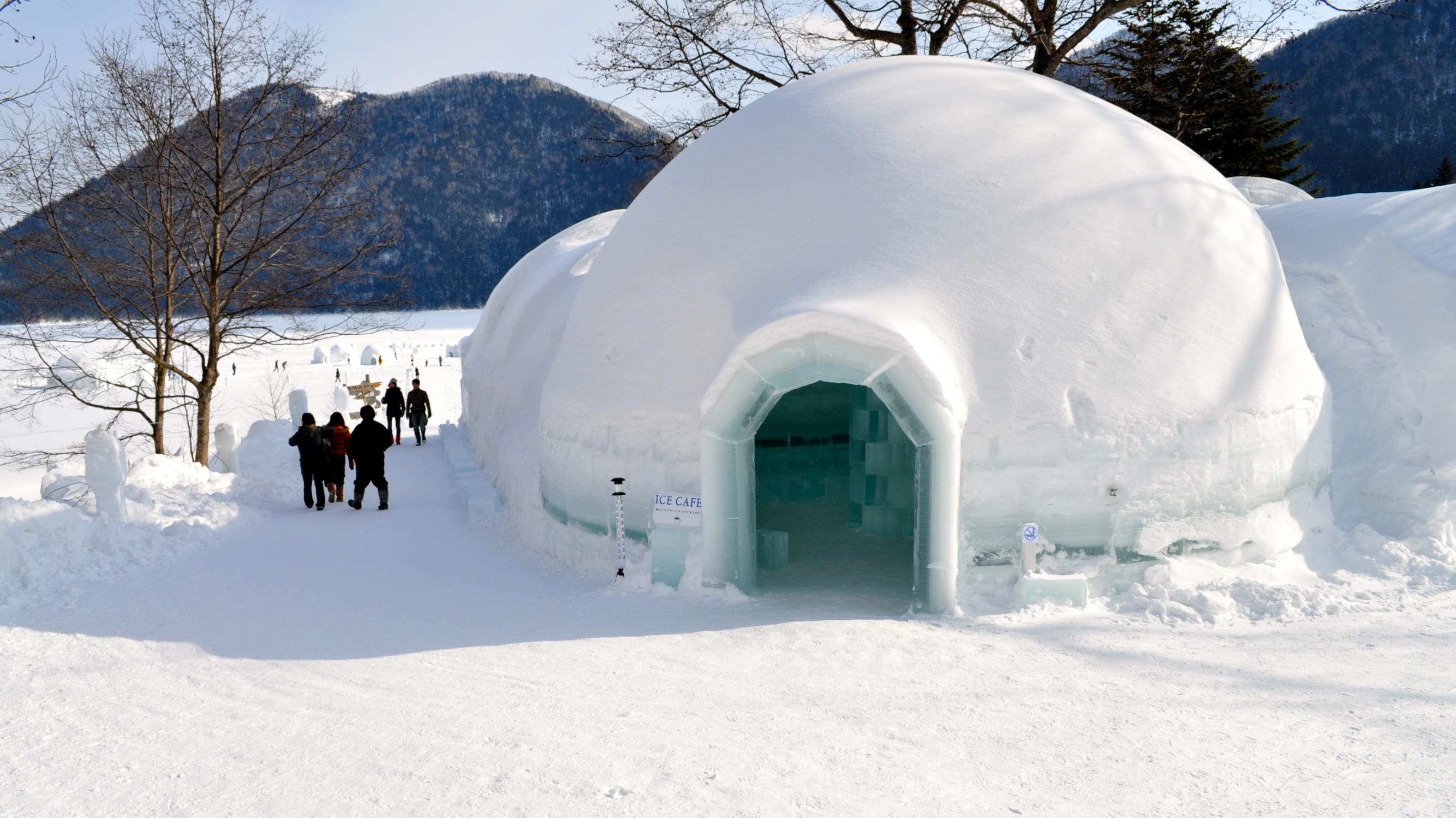 Igloo Cafe