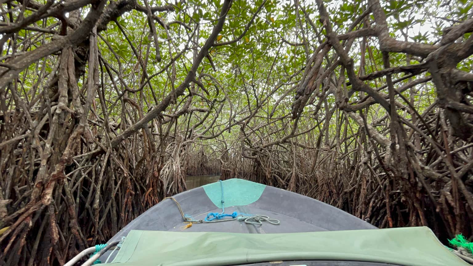 Photo from Sujeeth 's trip