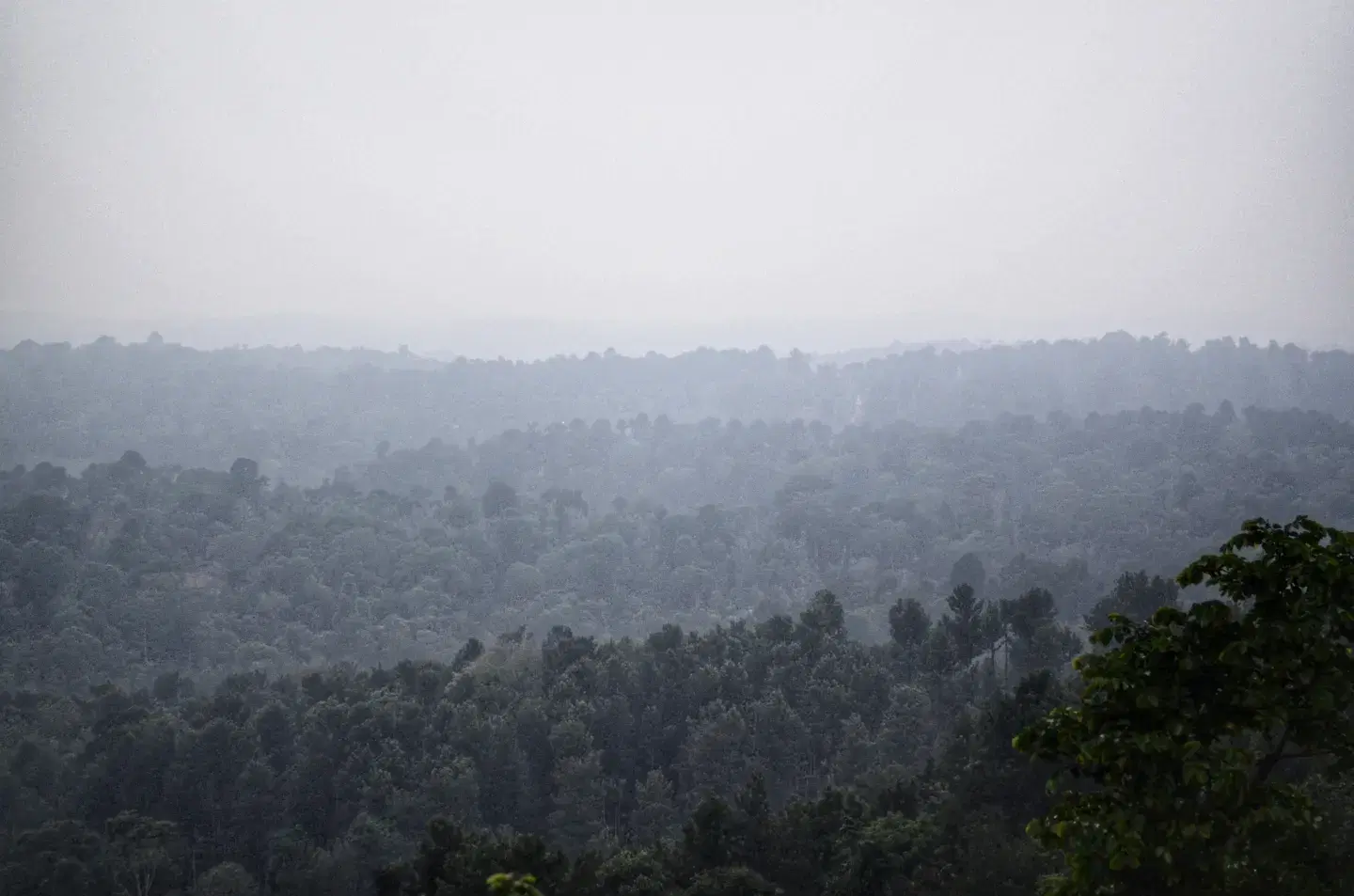Photo from Himanshu Shah's trip