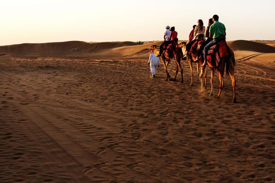 Camel Safari Dubai.jpeg