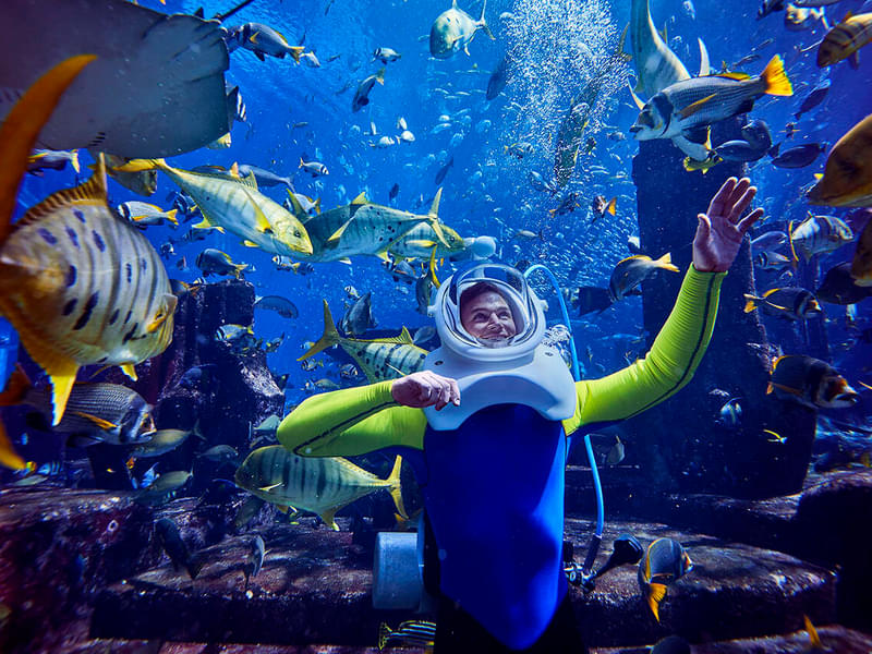 Aquatrek Xtreme with Free Admission Ticket to the Lost Chambers Aquarium