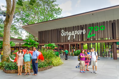 Singapore Zoo Admission Ticket with Tram Ride + Breakfast (International Travellers)