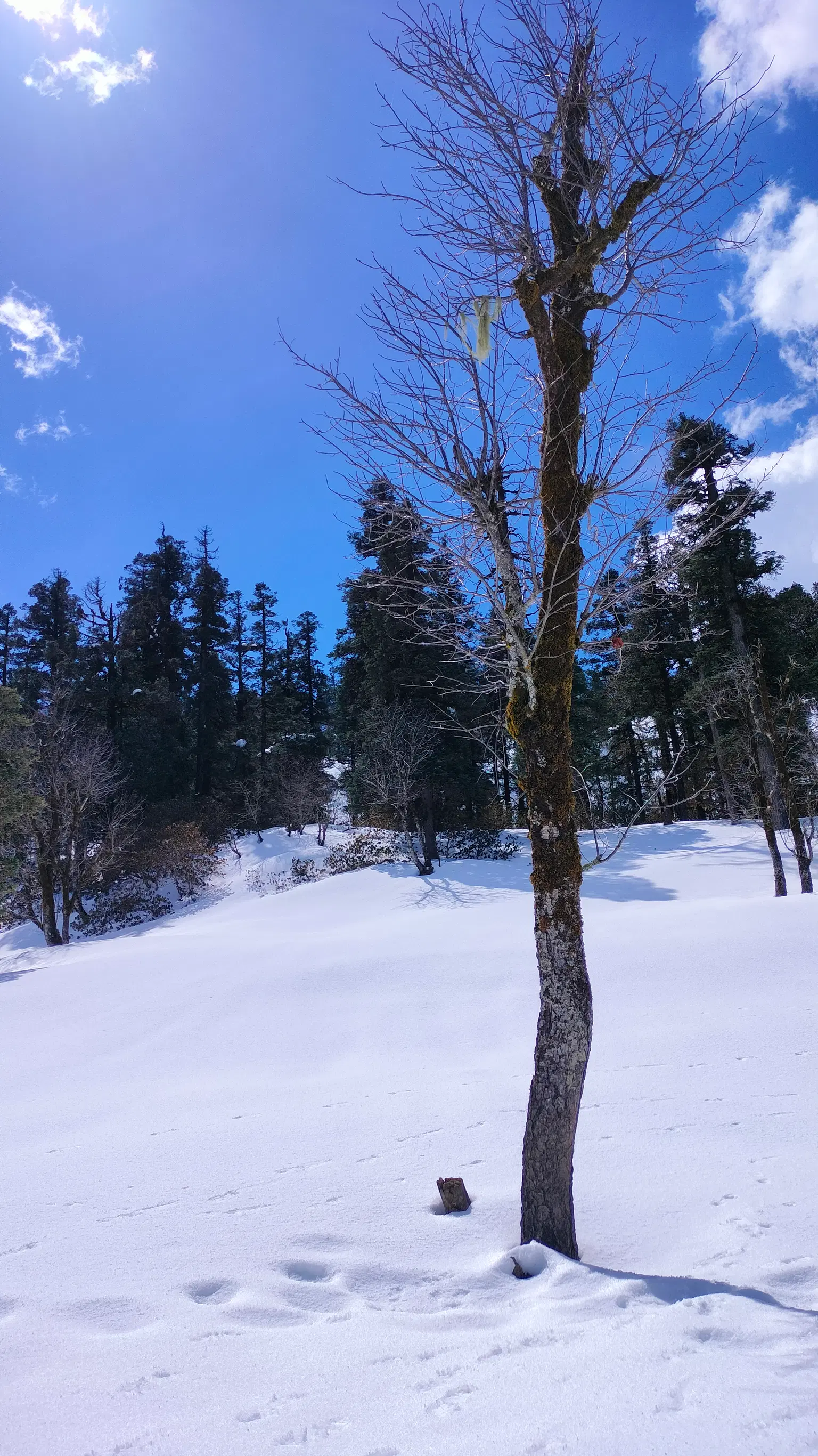 Photo from Ayan  Debnath's trip