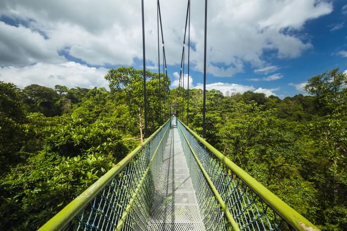 MacRitchie Reservoir