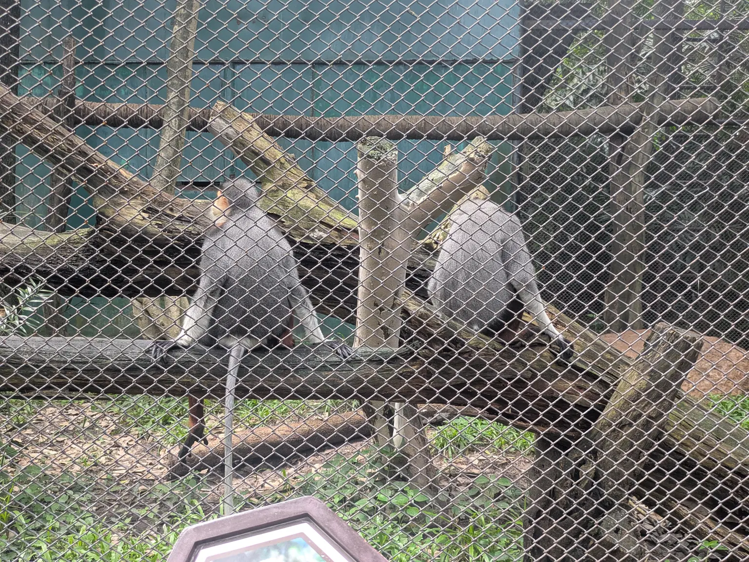 Photo from Ekta Parvin's trip