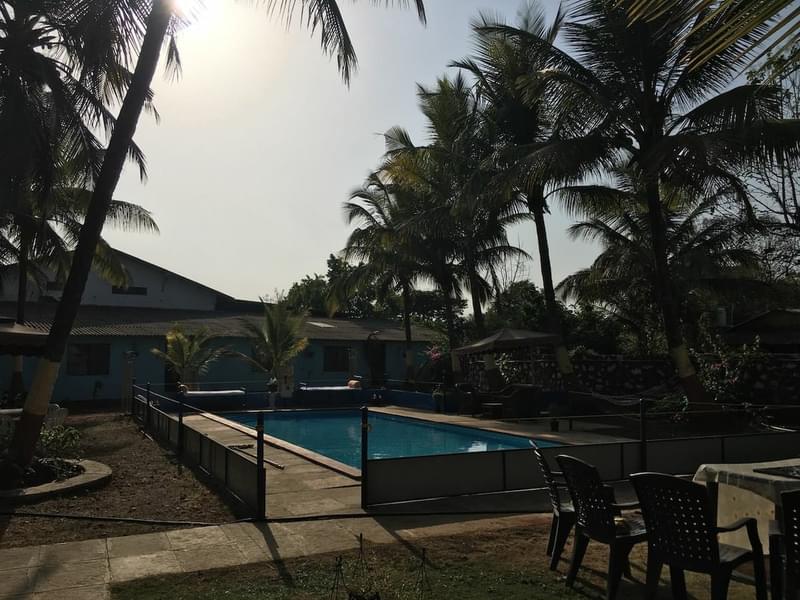 A Peaceful Villa Amidst Tall Palm Trees In Alibaug Image