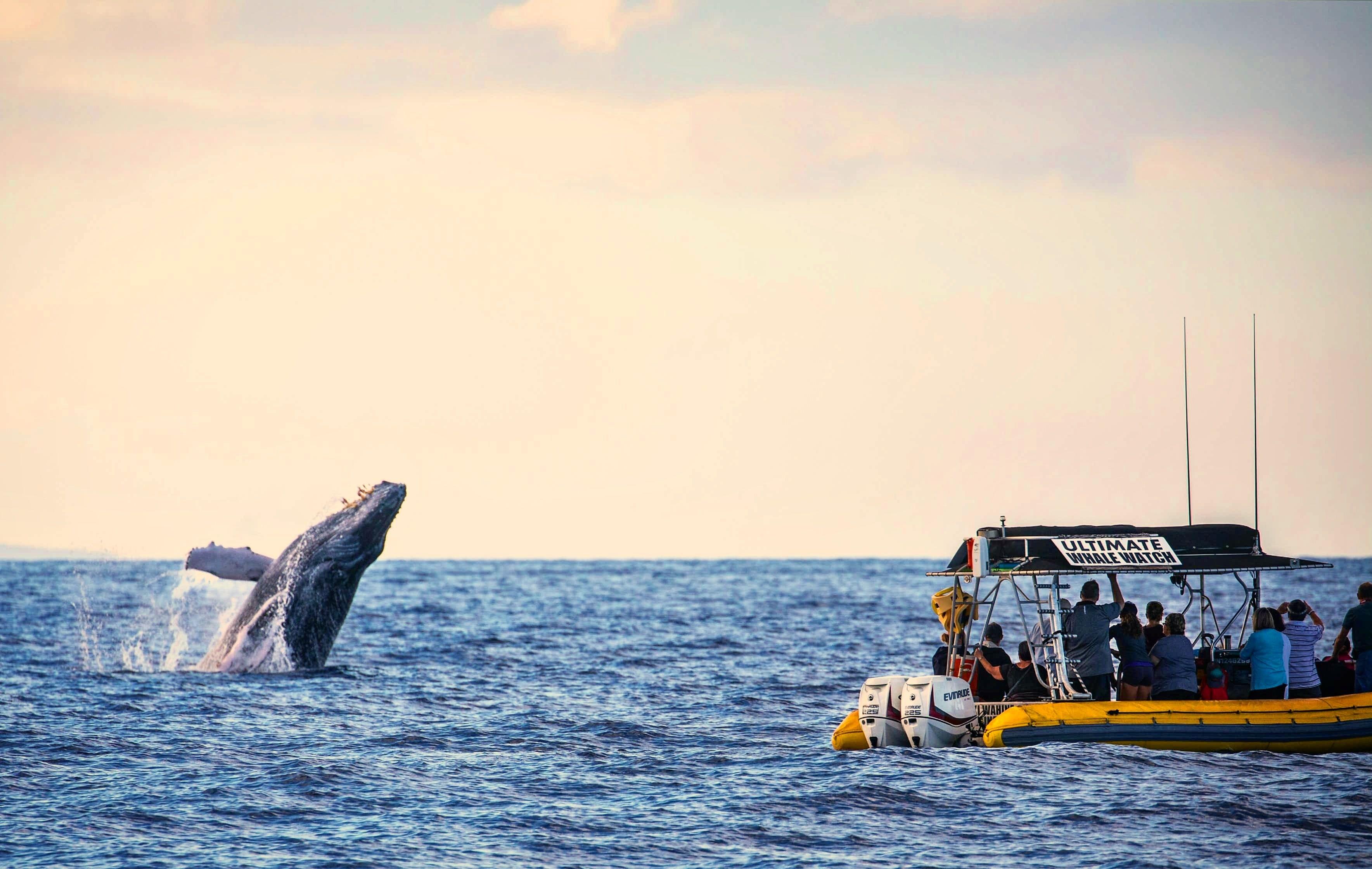 Maui, Hawaii