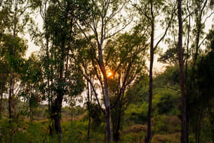 V4w53mki0py4bz1f2gt7dub9il6e 1590734942 shutterstock 1032901741