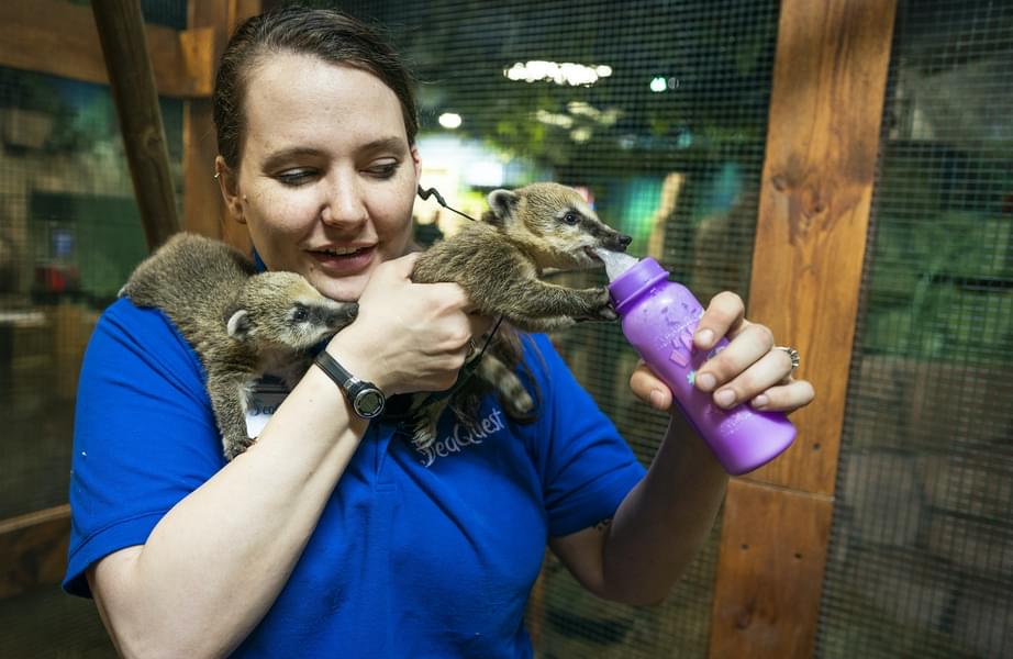 Feed these cute furry creatures with SeaQuest Folsom Tickets