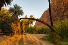 Scenic view in the 'Valley of Palms' stretching over 15km 