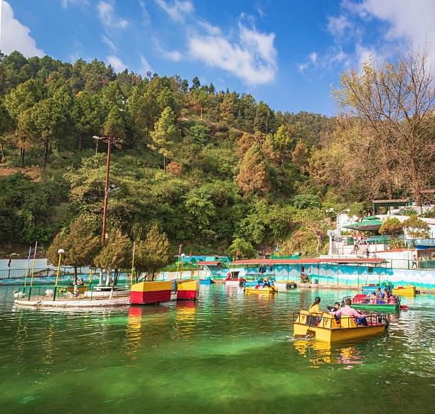 Paddle Boating with a View