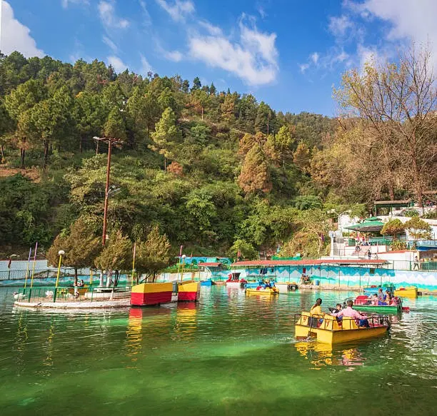 Paddle Boating with a View