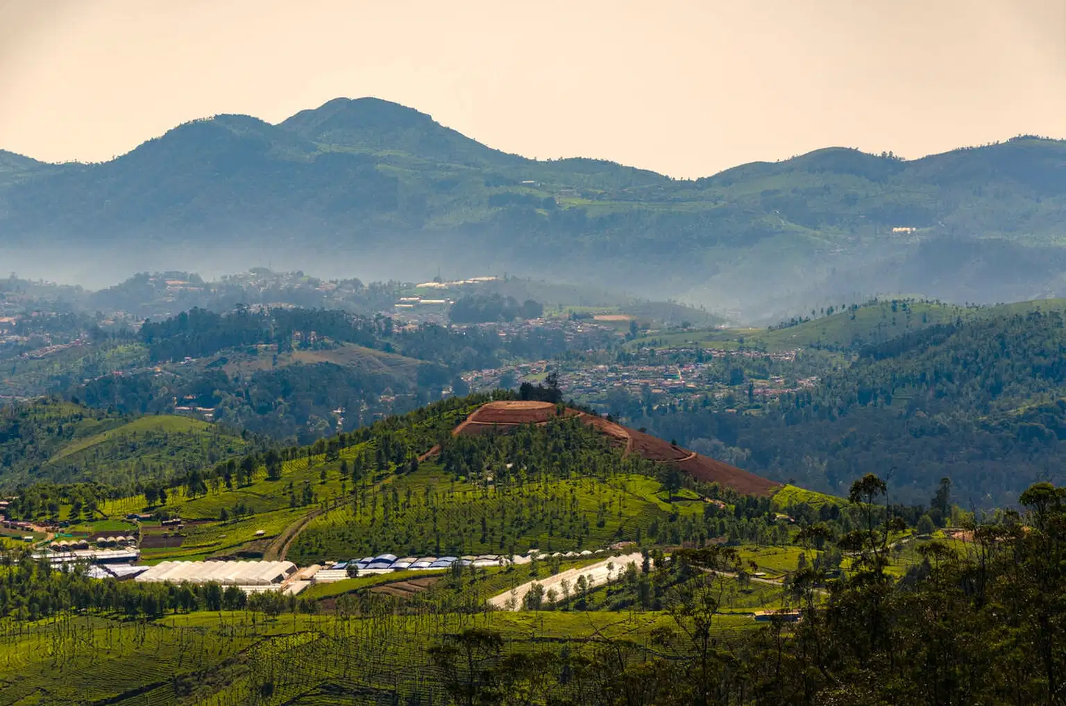 Glimpse of Ooty & Coonoor | Escape to the Nilgiris