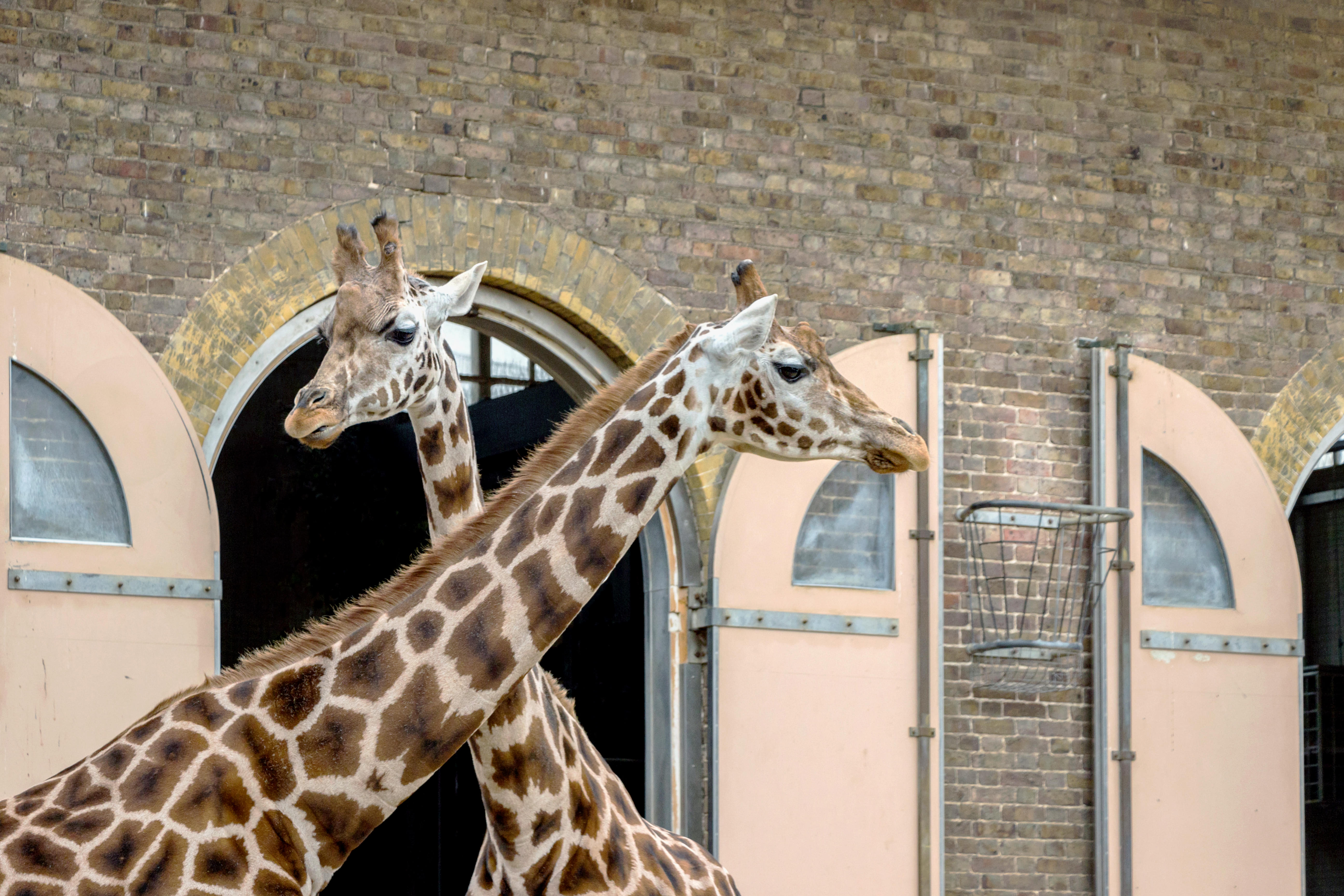 zoos in london
