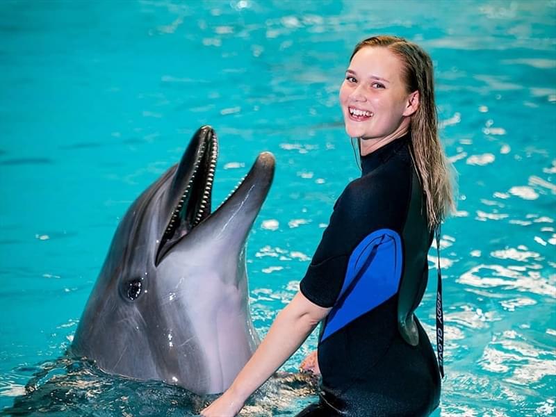 dolphin show dubai photo