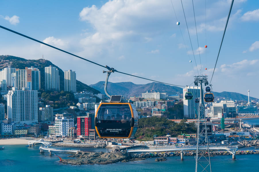  Busan City Tour with Songdo Air Cruise Image