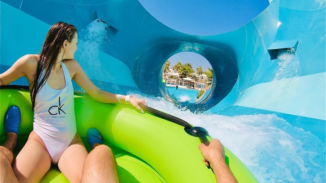 Feel the thrill and slide down the constrictor bowl pool 