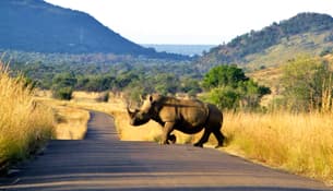 V5x9vutx328lpyjdc85s82lc2lku dl.beatsnoop.com 3000 cgeoi2jeak