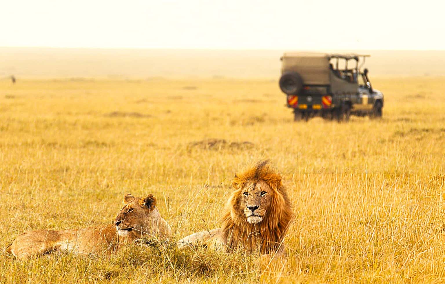 14 Days East African Safari | Best of Kenya & Tanzania
