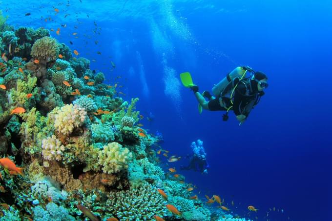 Scuba Diving In Pattaya.