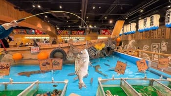 V6e3p1wxwvocblprwa859etar78t download%20(28)