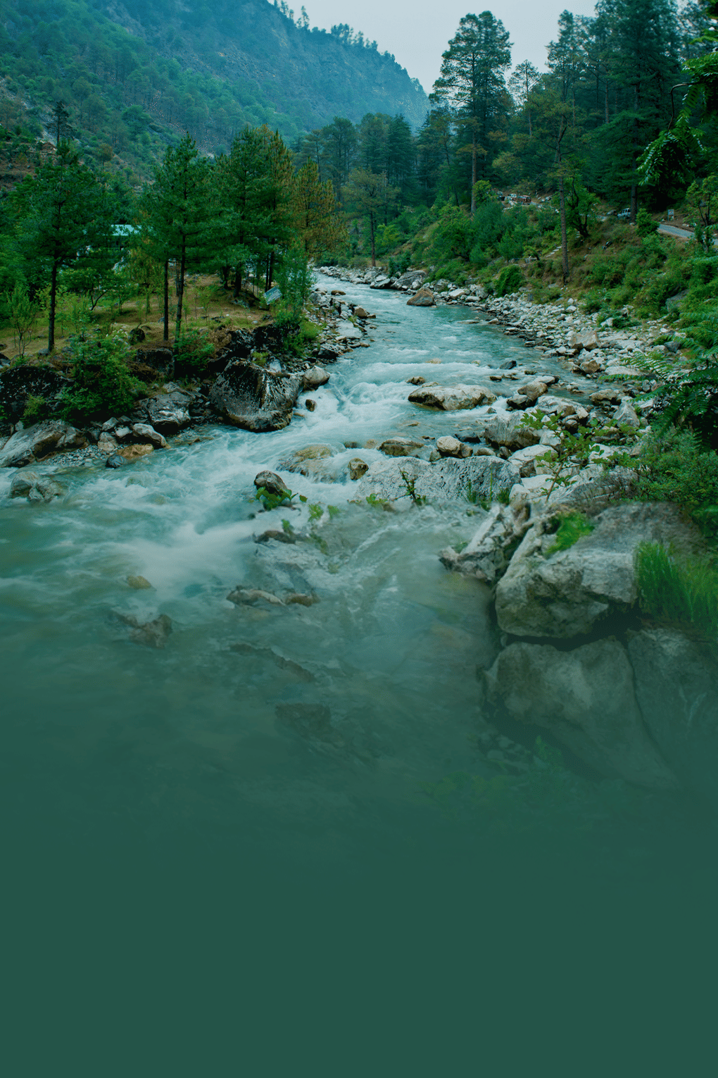 Exotic Tirthan Valley with Offbeat Stay in Jibhi