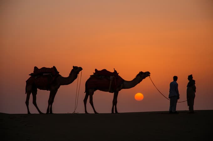 Camel Safari in Jaisalmer