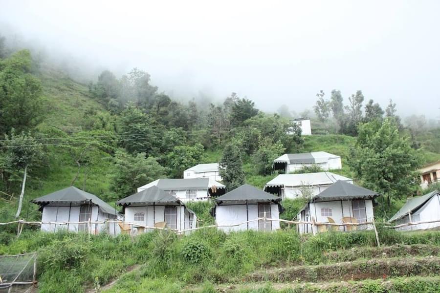 Camp Stay in Nainital Image