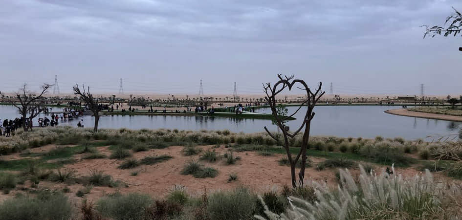 Picnic by the Love Lake