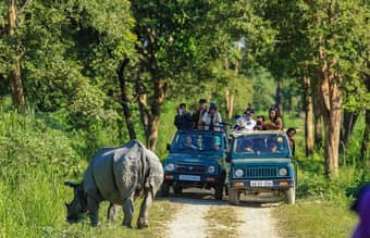 Embark on an unforgettable jeep safari through Kaziranga’s wilderness