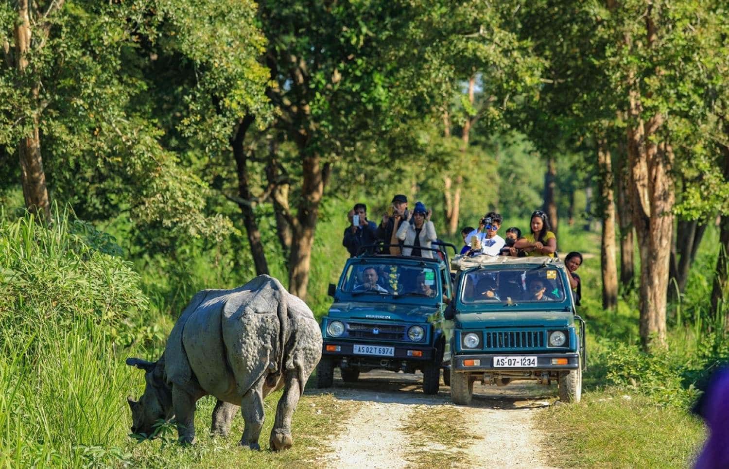 Kaziranga National Park Jeep Safari, Assam